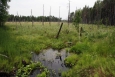 Typická krajina