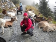 cestou na jezera Bockhartseen, září 