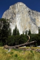 Národní park Yosemite - El Capitan