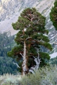 Cestou z Yosemite do kempu