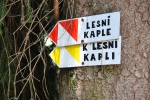 Na stezce.