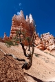 Utah, Bryce Canyon