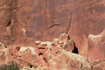 Utah - národní park Capitol Reef, staré indiánské malby