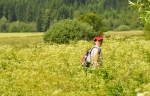 Mrtvý luh, I.zóna se však jmenuje Vltavský luh a táhne se od Soumarského mostu až na Lipno k Nové Peci.