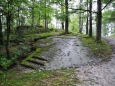 Naturpark Blockheide.