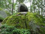 Naturpark Blockheide.