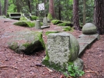 Naturpark Blockheide.