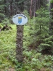 Naturpark Blockheide.