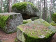 Naturpark Blockheide. Pilzstein.