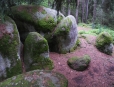 Naturpark Blockheide. Pilzstein.