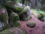 Naturpark Blockheide. Pilzstein.