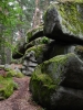 Naturpark Blockheide.