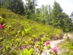 DSCN5555