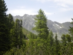 DSCN5570