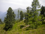 DSCN5607