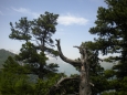 DSCN5579