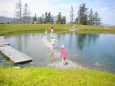 File_006
