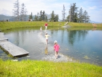 File_006