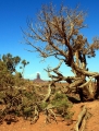Utah, Monument Valley 