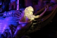 Nevada, Las Vegas - nymfa