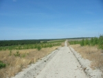 Kurská kosa