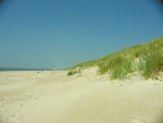 Kurská kosa