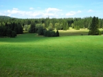 Údolí Studené Vltavy.