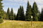 PR Prameniště má čtyři části, které chrání i rašeliniště Šmauzy, prameniště Křemelné. 