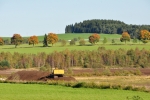Pod Světlíkem je těžena rašelina a tak optiku fotoaparátu zaměřuji nejčastěji na hnědou plochu po její těžbě.