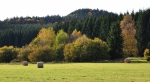 Kuní hora (925m) se zdá být nadosah, přesto nás čeká hodinový výstup.