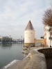 Bašta Schaiblings