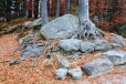 Kolem Velkého Javorského jezera je mnoho balvanů, skalních bloků a stěn. Místo je hojně navštěvováno díky velkému parkovišti hned pod jezerem.