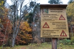 Na konci obce Zwieslerwaldhaus vstupujeme do pralesa, kde můžeme obdivovat až 500 let staré stromy s převahou buků.