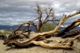 California, Death Valley, Mesquite Sand Dunes - krajina
