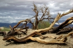 California, Death Valley, Mesquite Sand Dunes - krajina