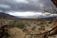 California, Death Valley, Mesquite Sand Dunes - krajina