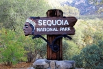 California, Sequoia National Park - přicházíme do parku