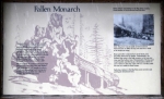 California, Sequoia National Park - Fallen Monarch, infocedule