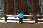 California, Sequoia National Park - trpaslíci mezi obry
