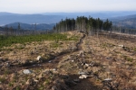 Sestupovou stezku poněkud rozšířily auta přepravující vzhůru materiál na stavbu rozhledny. Dříve tudy vedla jen neznatelná pěšinka vysokou travou.