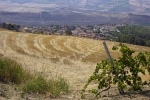 Pod námi je vidět nové Poggioreale - nemohu se zbavit dojmu, že kostelní věž je replikou (alespoň částečnou) původní věže