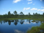 Rašeliniště Viru (Viru raba), Estonsko