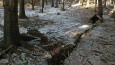 hned u cesty je studánka, Eliščina 