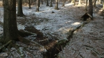 hned u cesty je studánka, Eliščina 