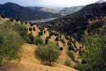 Národní park Aspromonte