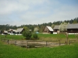 Náves