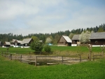 Náves