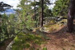 Kočičí skály jsou zajímavým místem Svatoboru. Ani nám proto nevadí, že jsme původně chtěli jít hluboko pod nimi.
