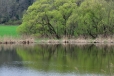 Tvrzský rybník.