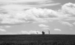 Kaplička nad Štěticema.